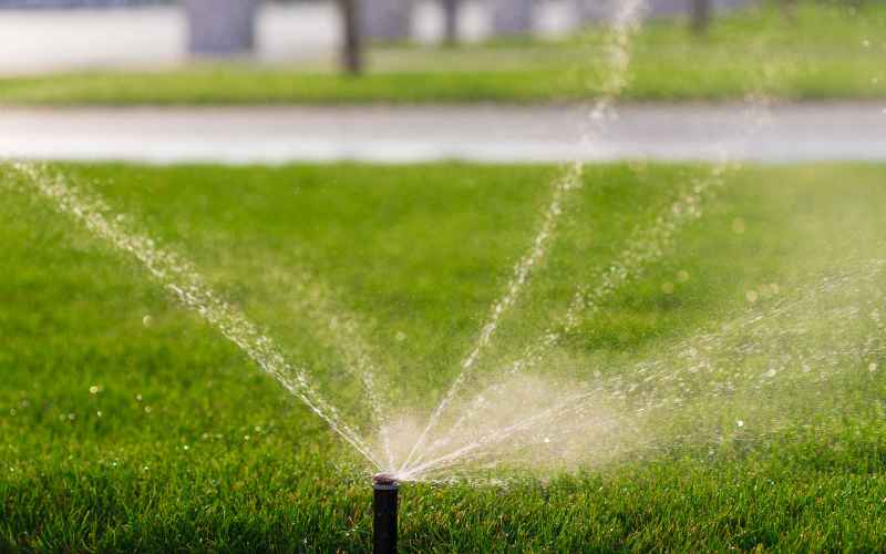 Lawn Repair & Top Dressing